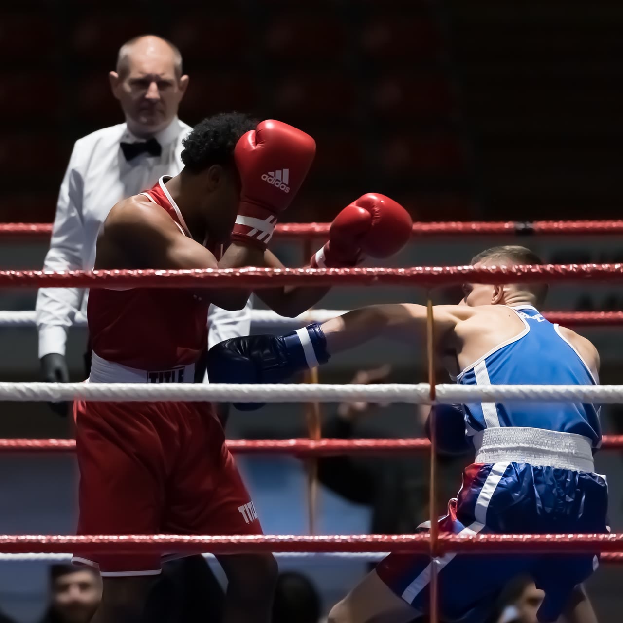 Championnats suisses de boxe — 20 – 21 novembre 2021